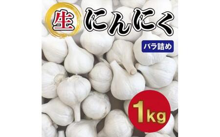 【5月上旬頃～発送】にんにく 国産 香り際立つ 生にんにく 1kg