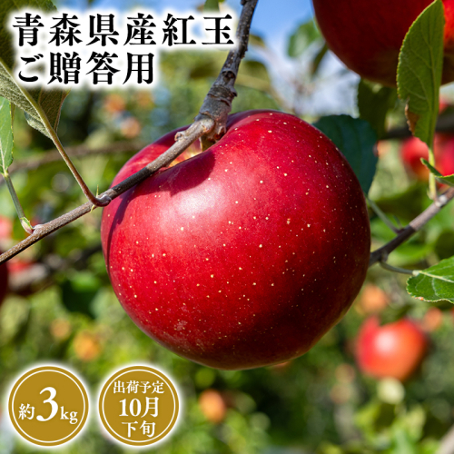 2026年産１０月発送　贈答用紅玉3ｋｇ　【そと川りんご園・１０月・青森県産・平川市・りんご・紅玉・3ｋｇ・贈答用】