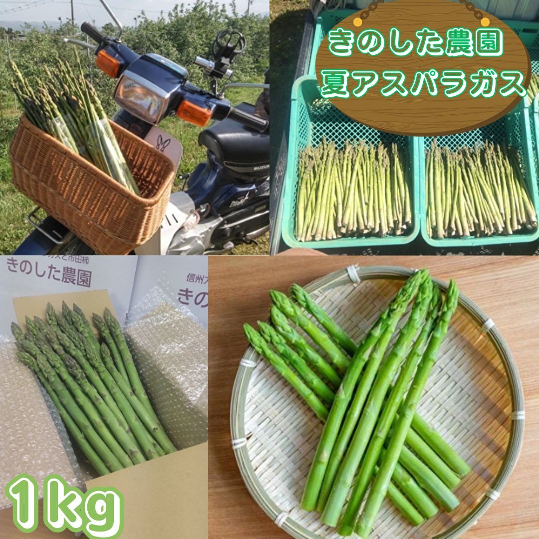 
                  きのした農園の夏アスパラガス 7月初旬より発送開始 長野県 信州 南信州 高森町 夏の味覚 夏の野菜 やさい 
                