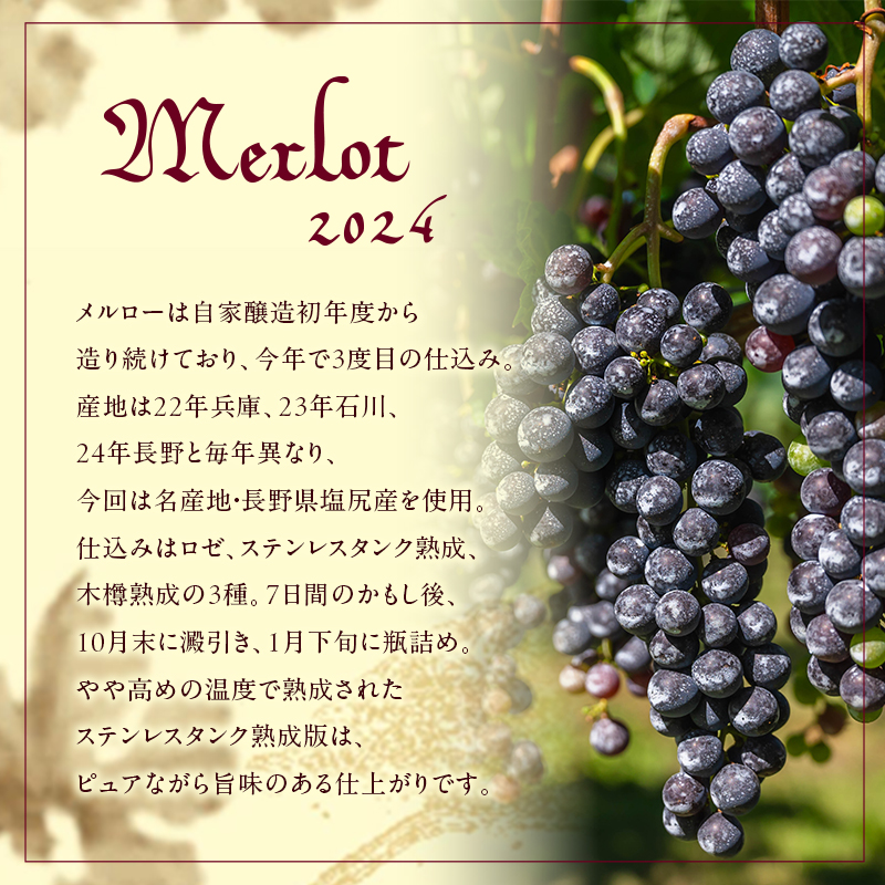 島醸造 メルロー 2024 720ml 小豆島醸造 赤ワイン 日本ワイン 化粧箱入り お酒 酒 ワイン 熟成 贈り物 ギフト 国産 香川 香川県 土庄 土庄町