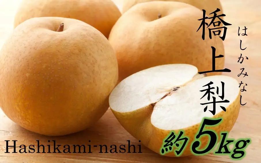 【先行予約】令和8年発送 /辰口農園の橋上梨約5kg（品種:幸水）_1018R