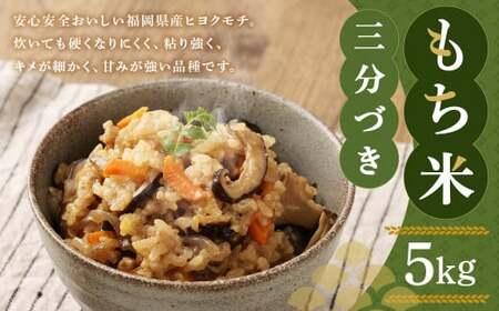 福岡県産 栽培期間中 農薬・肥料不使用 もち米 【三分づき】5kg 1袋 ／ 餅米 もち 米 お米 おこわ 赤飯 福岡県 筑後市