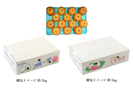 【2025年先行予約】新潟県産 和梨 幸水 5kg 【秀品】《8月中旬から順次出荷》 こうすい なし 果物 フルーツ デザート ジューシー シャキシャキ 加茂市 塩原久七農園