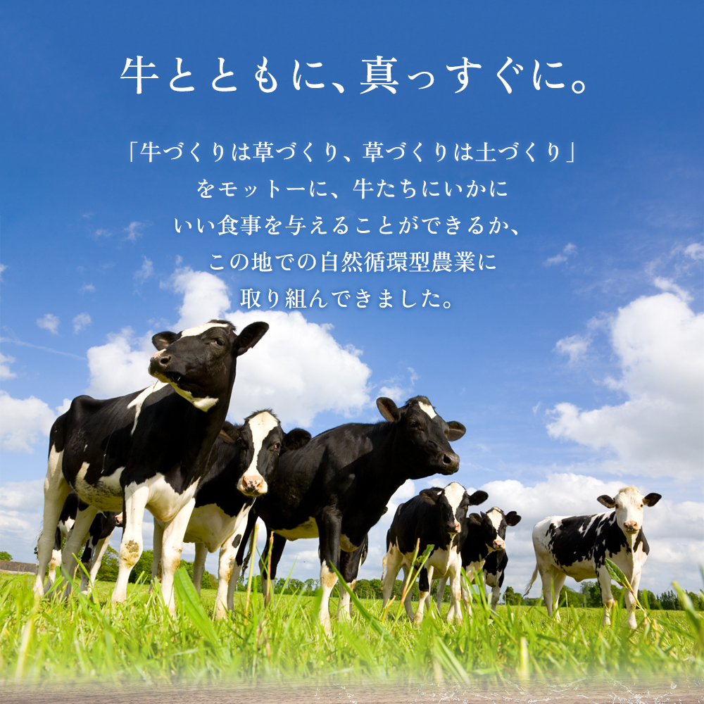 牧場直送！阿蘇ミルクアイスセット 桑の葉10個 阿部牧場 牧場 アイス 10個 牛乳 ミルク MILK 乳製品 最優秀味覚賞 人気 濃厚 こだわり 桑の葉 セット 詰め合わせ スイーツ デザート 熊本