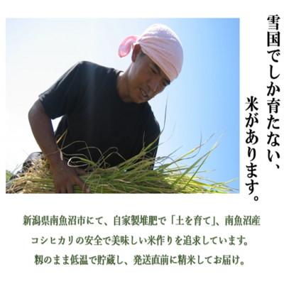 ふるさと納税 南魚沼市 南魚沼産 笠原農園米 コシヒカリOYA　〜農林1号〜　5kg |  | 01