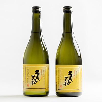 ふるさと納税 野々市市 うまいがいね　720ml×2本 |  | 01