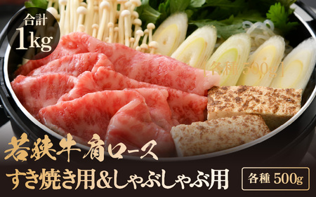 若狭牛 肩ロース しゃぶしゃぶ用＆すき焼き用 計1kg（各種500g）【牛肉 黒毛和牛 黒毛和種 黒毛 和牛 国産 ロース 冷凍 小分け すき焼き グルメ 父の日 母の日 敬老の日 お中元 お歳暮 ギフト 誕生日 贈り物 プレゼント BBQ キャンプ飯 お取り寄せ 】 [m15-f001]