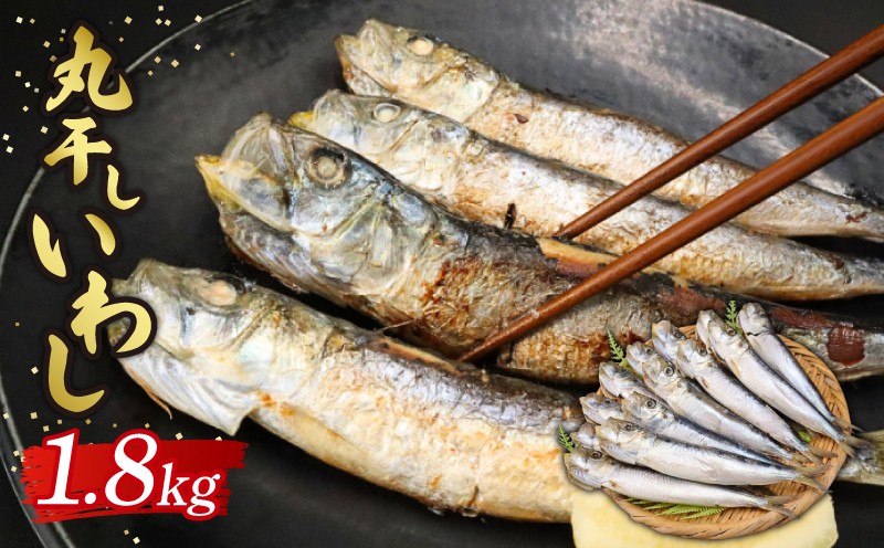 
            いわし 丸干し 約1.8㎏ いわし丸干し イワシ 鰯 鰮 マイワシ まいわし 九十九里産 丸干し 干物 九十九里 冷凍 魚介類 無添加 魚介 海の幸 海 魚 贈答 ギフト プレゼント 贈答 記念日 お祝い 送料無料 千葉県 旭 有限会社鎌倉商店 千葉県 旭市 kms003
          