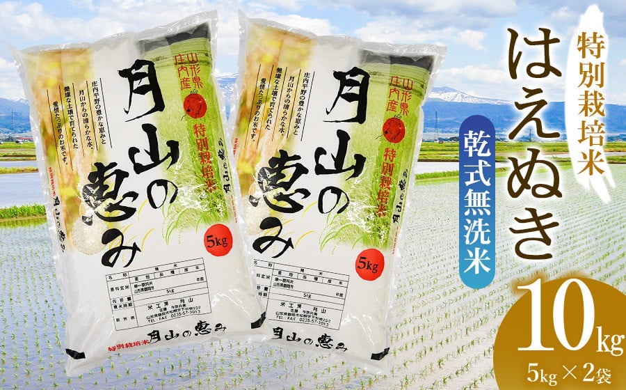 【令和6年産 新米】  特別栽培米 はえぬき 乾式無洗米 10kg（5kg×2袋）山形県鶴岡市産　米工房 月山