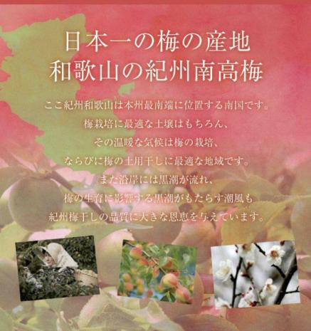 福梅本舗の最高級紀州南高梅　和歌山県産　ご家庭用　塩分10％まろやか梅  普通粒　はちみつ梅干し250ｇ