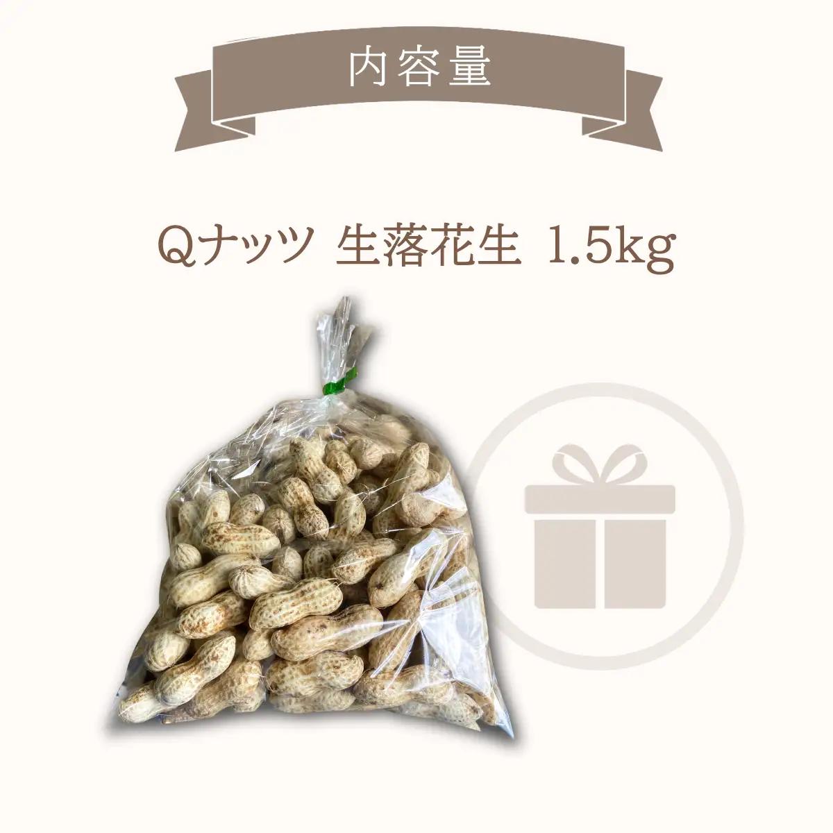 【先行受付・9月中旬より順次発送！】Qナッツ 生落花生 1.5kg SMAH014／ふるさと納税 落花生 生 生落花生 Qナッツ 生Qナッツ A品 大粒 希少 旬 季節限定 ふっくら 柔らか ほくほく