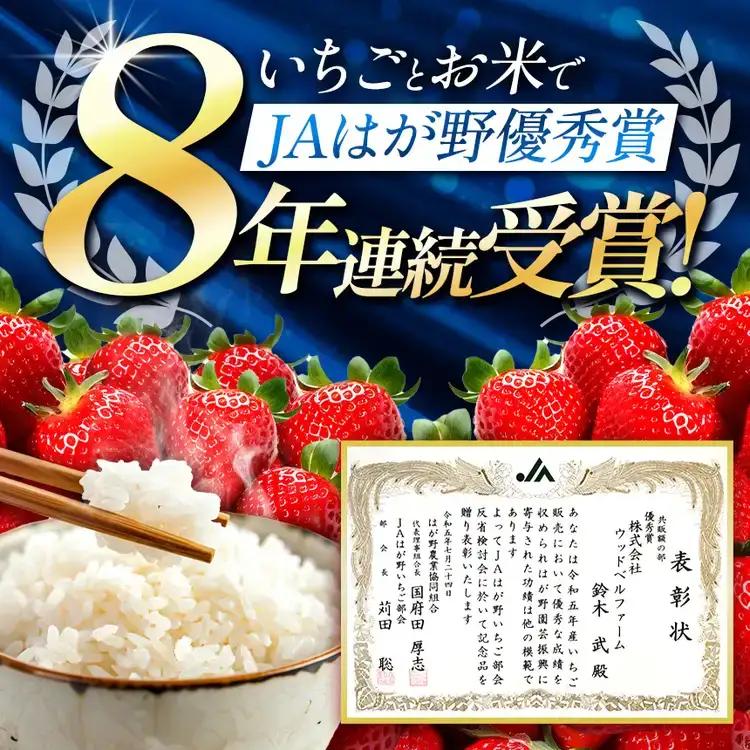 【栃木県共通返礼品】【先行予約】【11月発送分】令和8年度新米 栃木県産とちぎの星（玄米真空パック) 約2kg×2  |  栃木県 那珂川町 送料無料