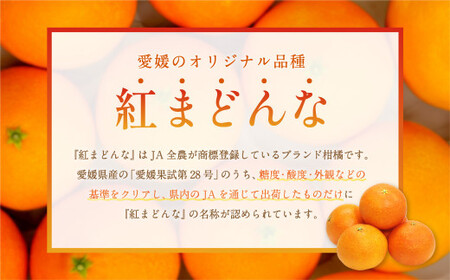 愛媛の旬の柑橘 「紅まどんな」約1.7kg 4L～Lサイズ 6～10個（青マル以上）【2026年12月発送予定】（11-2）紅まどんな 紅マドンナ まどんな マドンナ みかん ミカン 蜜柑 果物 くだ