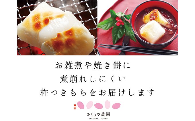 魚沼産 こがねもち 100％使用 切餅10個入り×3袋 化粧箱入り