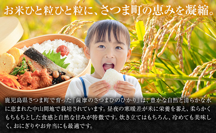 【3ヶ月定期便】令和7年産 薩摩のさつま ひのひかり  5kg×1袋×3回 計15kg  北さつま農協《お申込み翌月から出荷》鹿児島県 さつま町 米 こめ コメ お米 精米 白米 ヒノヒカリ 鹿児島県