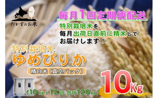 【 12回定期便 】 ゆめぴりか （ 精白米 ） 真空パック 約10kg （ 約5kg × 2袋 ） 米 白米 精米 ブランド米 ごはん 鷹栖町産 国産 定期便 定期配送 【 2026年10月上旬発送開始予定 】