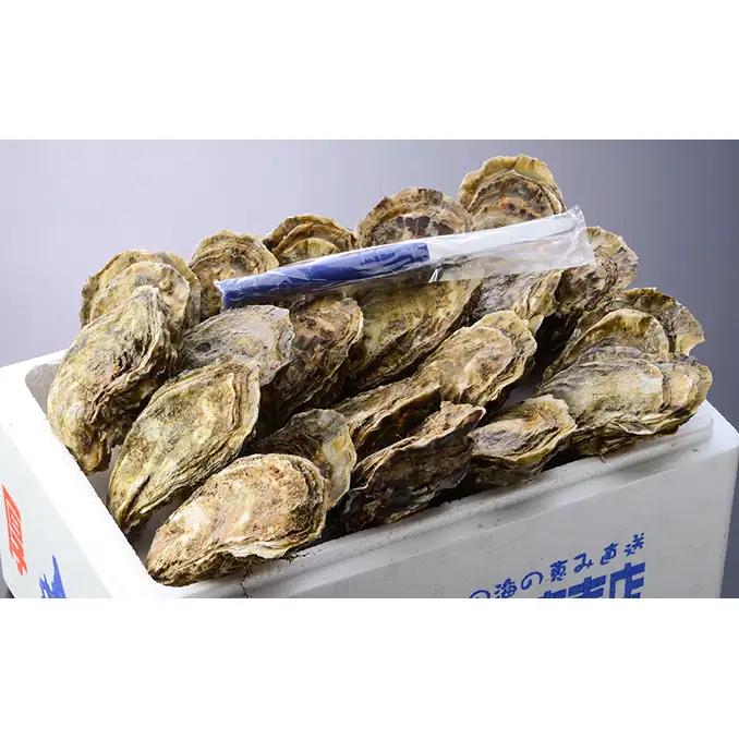 定期便 3ヵ月 牡蠣 殻付き 生食 L10個 北海道 厚岸産 マルえもん【厚岸漁業協同組合】カキナイフ付 [ カキ かき 生牡蠣 殻かき オイスター 冷蔵 ］