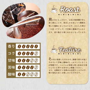 【下関 コーヒー豆】ウミノネ珈琲 コーヒー豆800g ブラジル EW 
