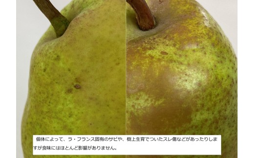 西洋梨（ラ・フランス）３ｋｇ　大玉　ご家庭用　0009-2610