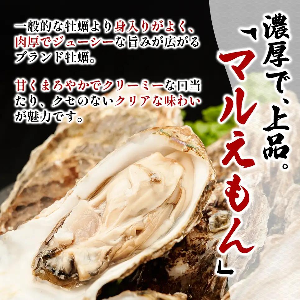 【お歳暮】北海道 厚岸産 ブランド牡蠣 マルえもん 殻付き 牡蠣 LLサイズ 14個 【光輝】 [ 魚貝類 生牡蠣 海鮮 海の幸 生食用牡蠣 生食用 生食用殻付き牡蠣 濃厚 甘み  オイスター ]  