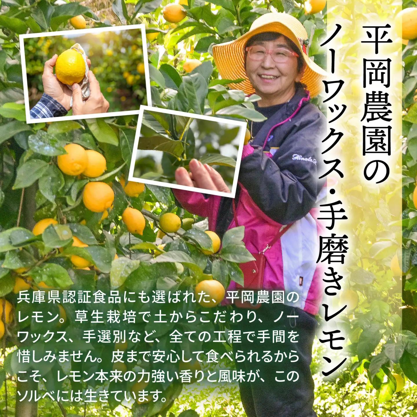 黄金 レモン ソルベ 4個 シャーベット （淡路島・平岡農園）  / シャーベット 