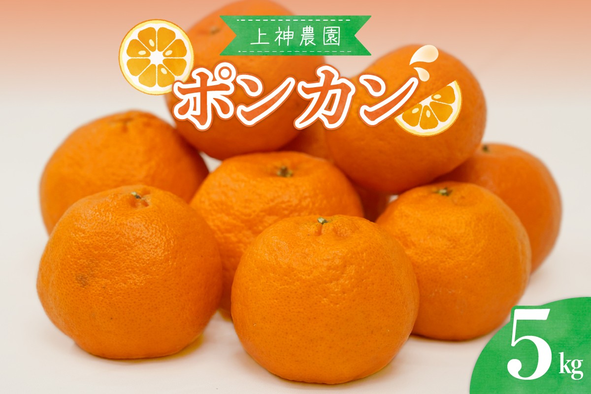 
            【2026年1月中旬～発送】上神農園のポンカン 約5kg ku011-007-25
          