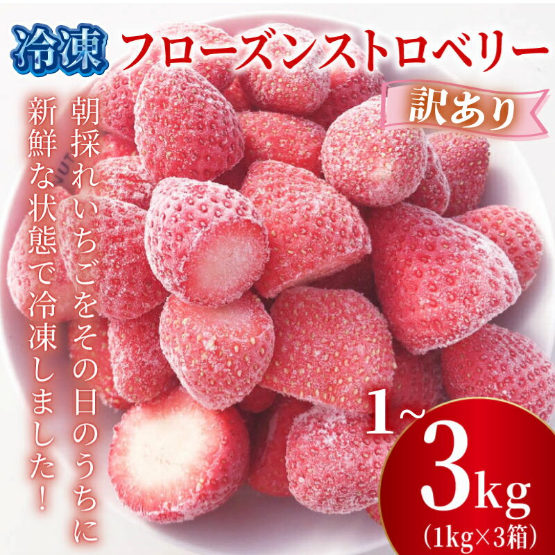 【ふるさと納税】 訳あり 冷凍 いちご 1kg 2kg 3kg 選べる容量 フローズン ストロベリー 産地直送 朝採れ ご当地 苺 果物 くだもの フルーツ デザート ジャム スムージー ヨーグルト イチゴ よつぼし 紅ほっぺ かおり野 恋みのり おいCベリー 食品 げんき農場 埼玉県 羽生市