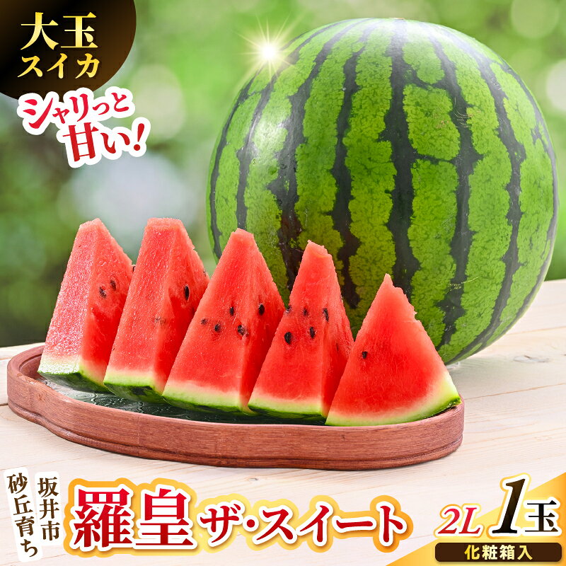 【ふるさと納税】【先行予約】大玉スイカ (羅皇 ザ・スイート) 2L (7kg以上) 1玉 化粧箱入り 【2027年7月中旬以降順次発送予定】 スイカ 西瓜 すいか デザート 果物 くだもの 夏 甘い ジューシー 旬の果物 産地直送