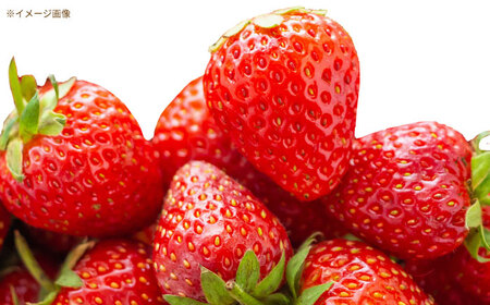 完熟苺のとろーりジャム / ジャム いちごジャム いちご 苺 あきひめ / 恵那市 / 阿部農園[AUGA007]