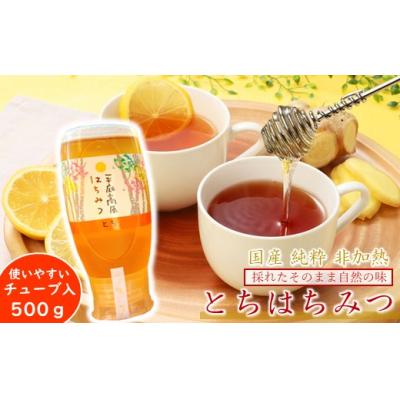 ふるさと納税 久慈市 「平庭高原はちみつ(とち)500g(チューブ入り)」国産 純粋 非加熱 無加糖 無添加 はちみつ