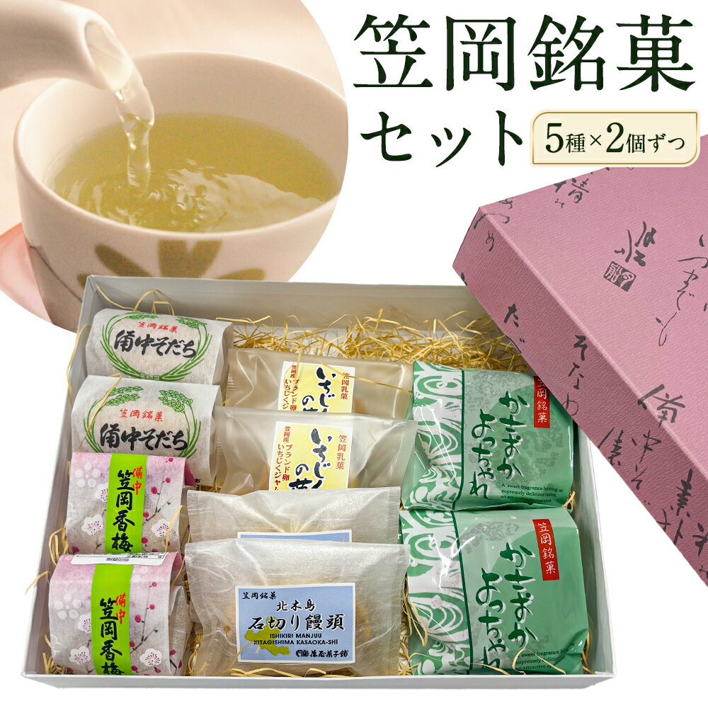 【ふるさと納税】お菓子 笠岡 銘菓 セット 5種 × 2個ずつ 藤屋菓子舗 《30日以内に出荷予定(土日祝除く)》岡山県 笠岡市 お菓子 和菓子 饅頭 最中 詰め合わせ スイーツ
