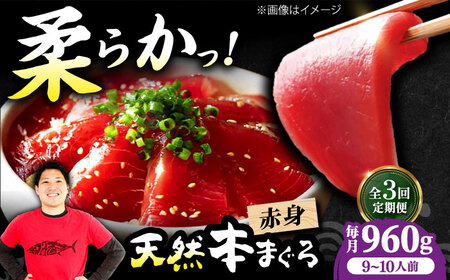 【全3回定期便】たね熟天然本まぐろ赤身(960g)[AOCE019]まぐろ まぐろ まぐろ まぐろ まぐろ まぐろ