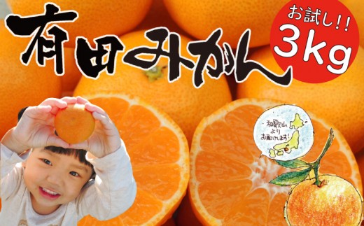 
                  「はじめまして 有田みかん（和歌山県湯浅町産）」 お試し 約3kg 【数量限定】／ORYY推奨商品_DA6101n
                