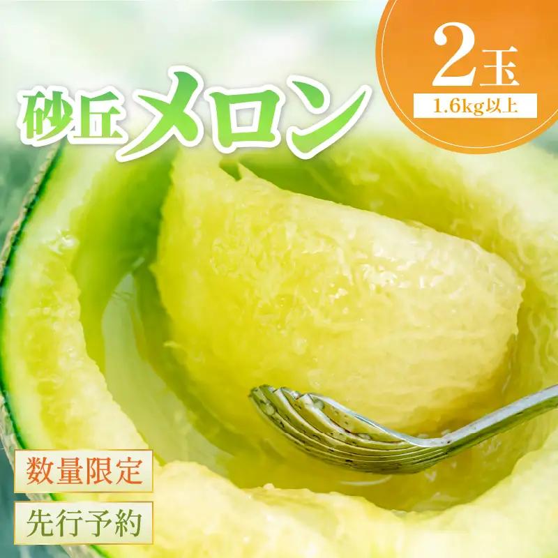 【メロン】 砂丘メロン 2L以上 2玉 【大玉】