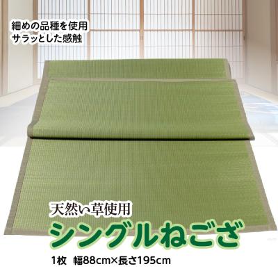ふるさと納税 八代市 い草 シングルねござ 幅88cm×長195cm イグサ 畳 敷物_032-4910-D