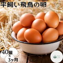 【ふるさと納税】定期便 3ヶ月 美味しい 平飼い 飛鳥の卵 40個 冷蔵 月1回 ／ 古都 風雅 ファーム ふるさと納税 たまご 玉子 鶏 卵 取り寄せ 新鮮 生食 安心 安全 健康卵 飛鳥 チルド 奈良県 宇陀市