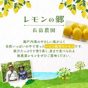 皮まで美味しい無農薬レモン　家庭用1.6kg【栽培期間中農薬不使用】