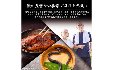 高知県産 うなぎ 長蒲焼1尾 約180g×1 1〜2人前/ 鰻 ウナギ 土用丑の日 高知産 うなぎ 【土佐黒潮水産】[ATCQ011]