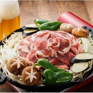 【毎月定期便】ラム肉 スライス 100g×10パック(合計1kg)全6回【配送不可地域：離島】【4077717】