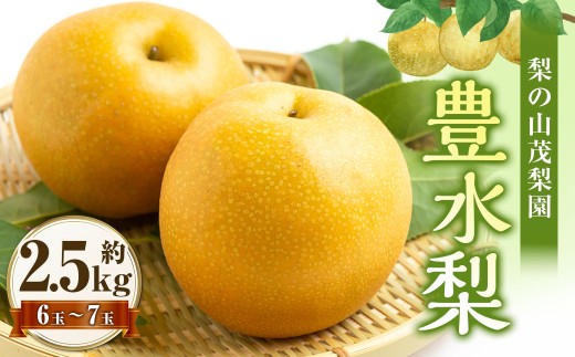 【先行予約】 梨の山茂梨園 豊水梨 6玉から7玉（約2.5kg）【2026年8月下旬～9月上旬発送予定】 梨 なし ナシ 果物 くだもの フルーツ 果実 ジューシー 果汁 6玉 7玉