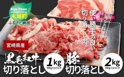 
牛肉＆豚肉切り落としセット【合計3kg】 K16_0057_2
