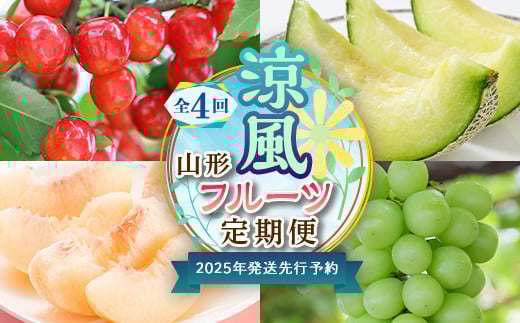 【2025年度 先行予約】涼風フルーツ定期便 全4回 さくらんぼ メロン 桃 シャインマスカット 果物 フルーツ FSY-2069