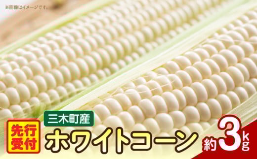 三木町産　ホワイトコーン　約3.0㎏_mk006-019