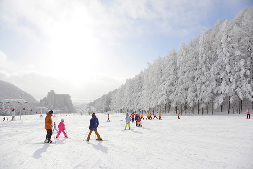 ホテルリステル猪苗代 スキー場 リフトシーズン券（1組につき2名利用可）_イメージ3