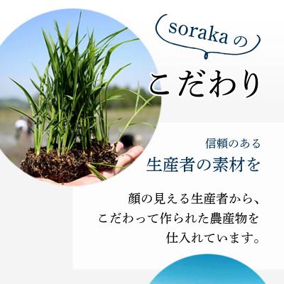 ふるさと納税 岩見沢市 『きな粉くるみ』素朴でおいしい、岩見沢産のきなこ使用。10袋セット |  | 02