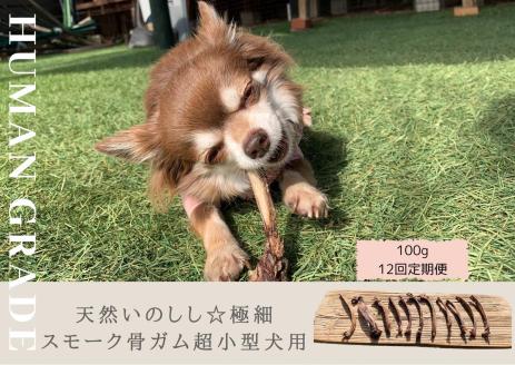 FB079 超小型犬向け☆天然いのししのスモーク骨ガム100g【定期便】全12回