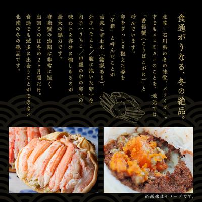 ふるさと納税 小松市 【先行予約】「香箱ガニ」2杯セット 石川冬の味 かに 蟹 せこがに |  | 01