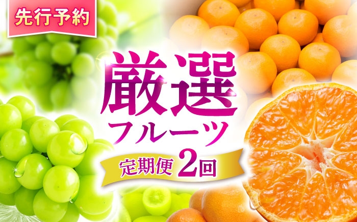 
                  【2回定期便】※【2026年シーズン発送／先行予約】フルーツ定期便 シャインマスカット 約1.3kg(2～3房) / 温州みかん(10kg) 家庭用 / フルーツ フルーツ定期便 果物定期便 シャインマスカット みかん / 諫早市 / 肥前グローカル株式会社 [AHDI012]
                