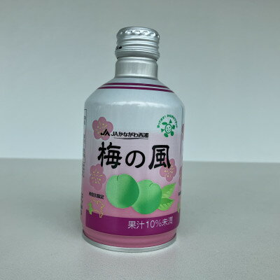 【ふるさと納税】梅の風(清涼飲料水)290g×24本入り【1664297】