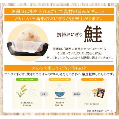 ふるさと納税 大崎市 【5年保存】尾西の携帯おにぎり 鮭50個セット アルファ米 防災 備蓄 保存食 非常食 ライス |  | 01